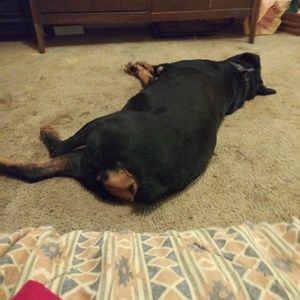 Meet your Posher, Mary